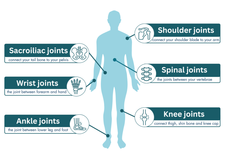 Outline of a body with arrows pointing to joints in the body: “shoulder joints (connect your shoulder blade to your arm)”, “spinal joints (the joints between your vertebrae)”, “knee joints (connect thigh, shin bone, and knee cap)”, “ankle joints (the joint between lower leg and foot)”, “wrist joints (the joints between forearm and hand)”, “sacroiliac joints (connect your tail bone to your pelvis