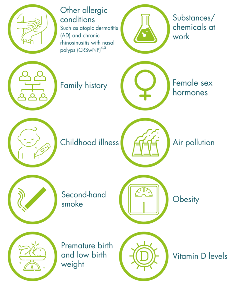 Ten circles with icons related to ten risk factors. First is “Other allergic conditions such as atopic dermatitis (AD) and chronic rhinosinusitis with nasal polyps (CRSwNP)” with an icon of a person scratching their skin. Second is “Substances/chemicals at work” with a chemical flask icon. Third is “Family history” with an icon of a family tree diagram. Fourth is “Female sex hormones” with an icon of the female sex symbol. Fifth is “Childhood illness” with a graphic of a sad child with a thermometer. Sixth is “Air pollution” with an icon of 3 industrial chimneys. Seventh is “Secondhand smoke” with a cigarette icon. Eighth is “Obesity” with an icon of a scale. Ninth is “Premature birth and low birth weight” with a graphic of a baby on a set of scales. Tenth is “Vitamin D levels” with an icon of a sun with the letter D in the centre.