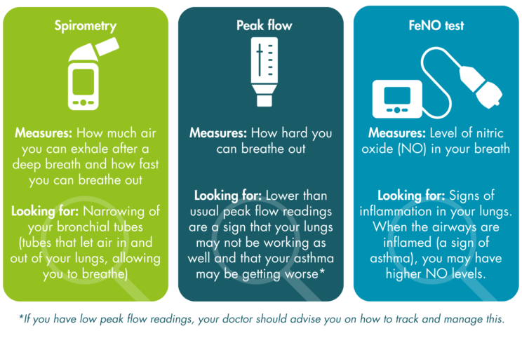 three boxes describing tests - Spirometry, Peak flow, and FeNO test. Each box describes what the test measures and what they are looking for. First is Spirometry, “Measures: how much air you can exhale after a deep breath and how fast you can breathe out. Looking for: narrowing of your bronchial tubes (tubes that let air in and out of your lungs, allowing you to breathe)”. Second is Peak flow, “Measures: how hard you can breathe out, Looking for: lower than usual peak flow reading are a sign that your lungs may not be working as well and that your asthma may be getting worse *if you have low peak flow readings, your doctor should advise you on how to track and manage this.” Third is FeNO test, “Measures: Level of nitric oxide (NO) in your breath, Looking for: Signs of inflammation in your lungs. When the airways are inflamed (a sign of asthma), you may have higher NO levels.”