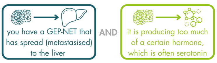 An infographic describing how carcinoid syndrome can develop. Carcinoid syndrome can develop if you have a GEP-NET that has spread (metastasised) to the liver and it is producing too much of a certain hormone.
