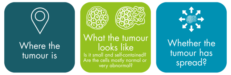 Where the tumour is. What the tumour looks like (is it small and self-contained? Are the cells mostly normal or very abnormal?). Whether the tumour has spread?