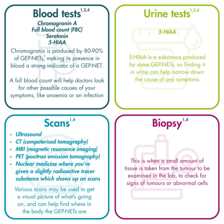 Four text boxes labelled blood tests, urine tests, scans, biopsy. Blood tests: Chromogranin A, full blood count (FBC), serotonin, 5-HIAA. Chromogranin is produced by 80-90% of GEP-NETS, making its presence in blood a strong indicator of a GEP-NET. A full blood count will help doctors look for other possible causes of your symptoms, like anaemia or an infection. (References 1-4). Urine test: 5-HIAA. 5-HIAA is a substance produced by some GEP-NETs, so finding it in urine can help narrow down the cause of any symptoms. (References 1,2,4). Scans: Ultrasound, CT (computerised tomography), MRI (magnetic resonance imaging), PET (positron emission tomography), nuclear medicine where you’re given a slightly radioactive tracer substance which shows up on scans. Various scans may be used to get a visual picture of what’s going on, and can help find where in the body the GEP-NETs are. (References 1,4). Biopsy: This is when a small amount of tissue is taken from the tumour to be examined in the lab, to check for signs of tumours or abnormal cells. (References 1,4).