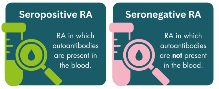 Two text boxes side by side. Left: “Seropositive RA. RA in which autoantibodies are present in the blood. Right: Seronegative RA. RA in which autoantibodies are not present in the blood. Each with a graphic of a test tube.