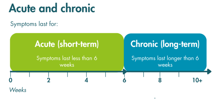 A timeline graphic showing how long symptoms last for during acute and chronic urticaria. In “acute (short-term), symptoms last less than 6 weeks.” In “chronic (long-term) symptoms last longer than 6 weeks.