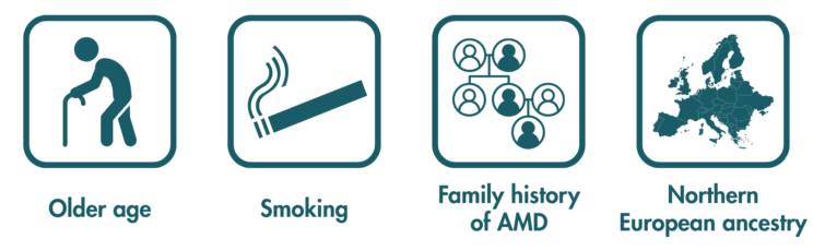 Four square boxes with images and captions. The first shows a stick man with a walking stick and the caption “older age”, the second shows a cigarette with the caption “smoking”, the third shows a family tree with the caption “family history of AMD”, and the last shows a map with the caption “northern European ancestry”.
