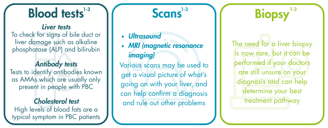 Three text boxes labelled ‘Blood tests’, ‘Scans’, ‘Biopsy’. Box 1, Blood tests: Liver tests: To check for signs of bile duct or liver damage such as alkaline phosphatase (ALP) and bilirubin. Antibody tests: Tests to identify antibodies known as AMAs which are usually only present in people with PBC. Cholesterol test: High levels of blood fats are a typical symptom in PBC patients. (References 1-3) Box 2, Scans: Ultrasound, MRI (magnetic resonance imaging) Various scans may be used to get a visual picture of what’s going on with your liver, and can help confirm a diagnosis and rule out other problems. (References 1-3). Box 3, Biopsy: The need for a liver biopsy is now rare, but it can be performed if your doctors are still unsure on your diagnosis and can help determine your best treatment pathway. (References 1-3).